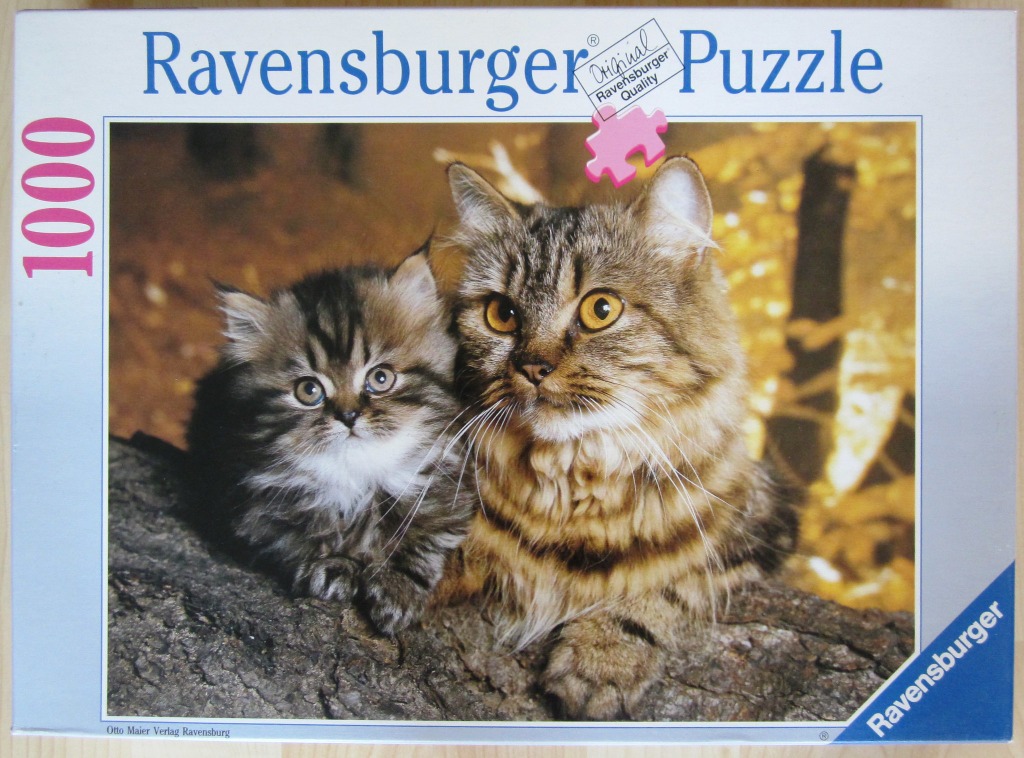 A photograph of a fluffy adult tabby cat sitting next to its small, dark-furred tabby kitten on a rough tree branch.