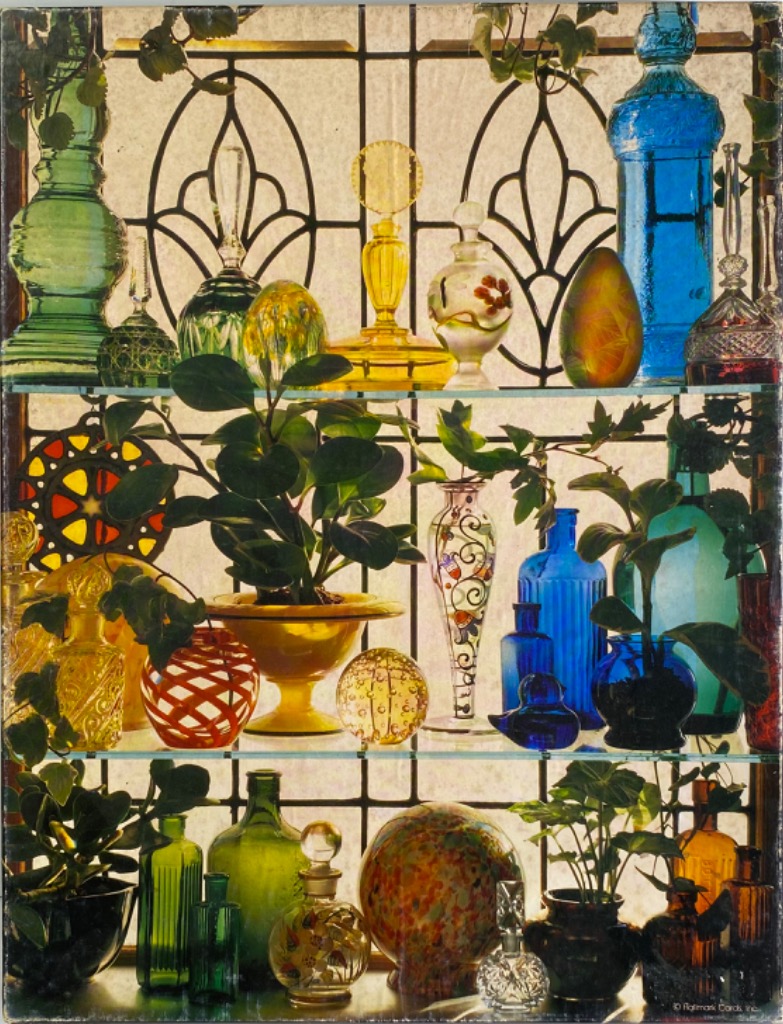 A collection of colorful glass bottles and house plants arranged on glass shelves in front of a window.