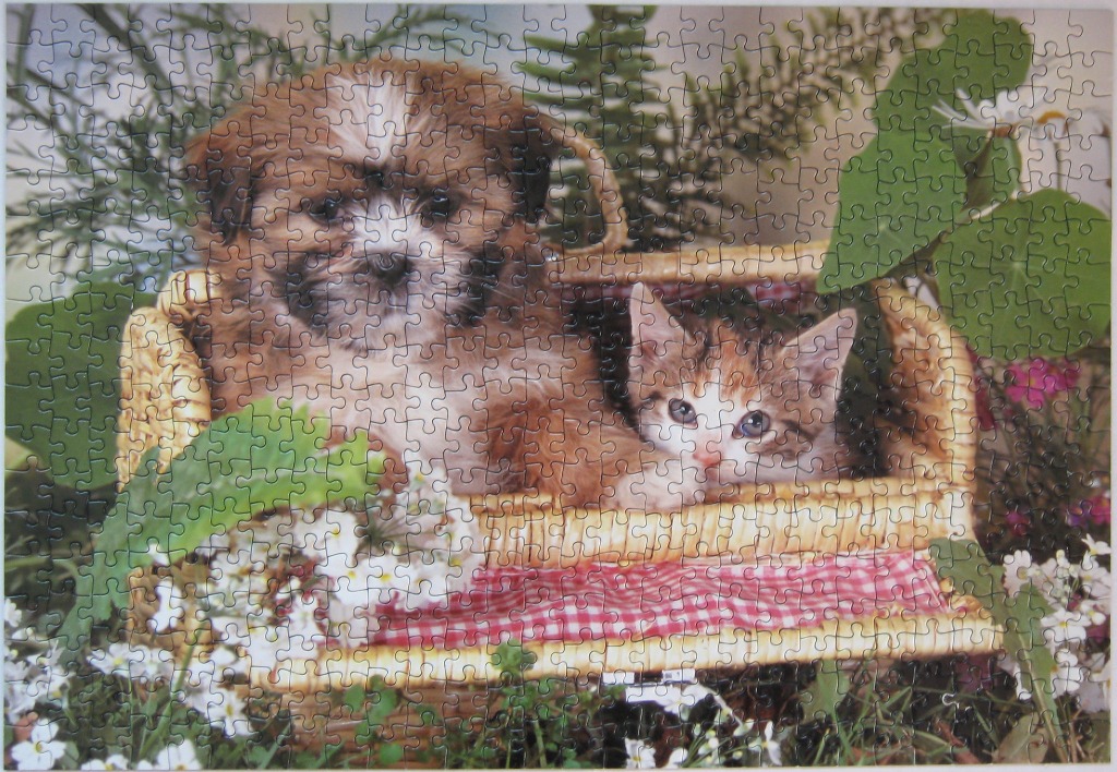 A fluffy puppy and a calico kitten sitting together in a wicker basket surrounded by flowers.
