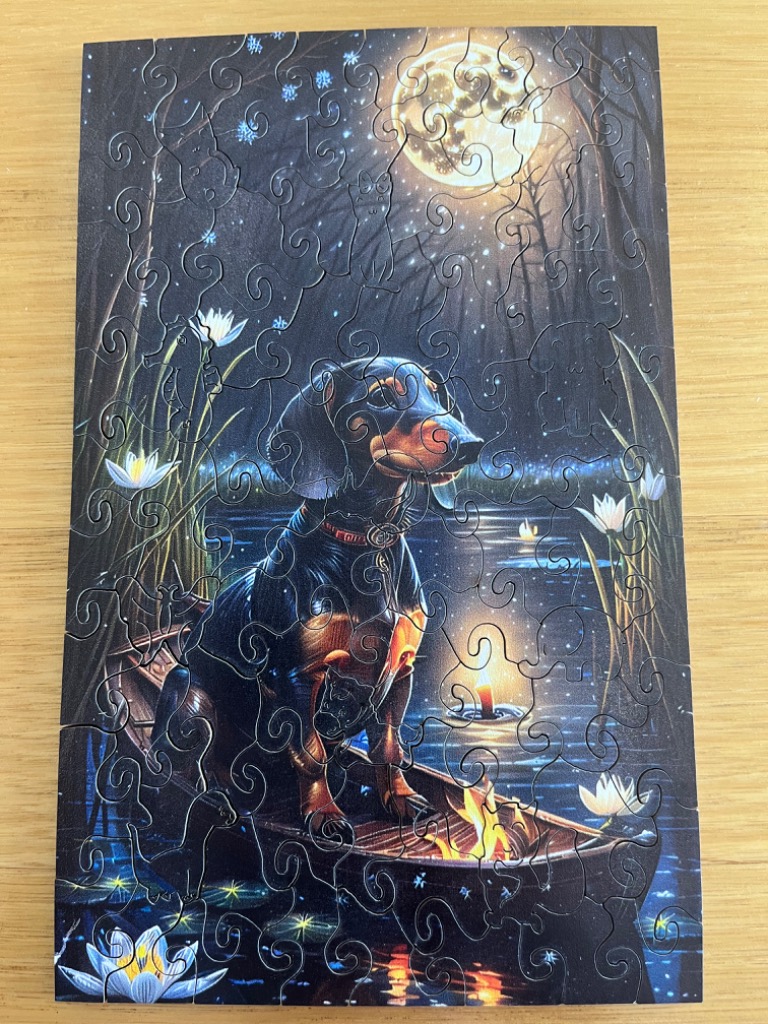 A dachshund sits in a canoe on a moonlit lake with water lilies and fireflies in a magical forest setting.