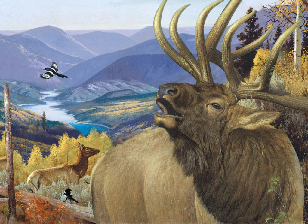 A bull elk bugling in a mountainous autumn landscape with a river and magpies.
