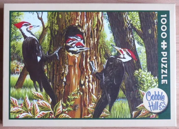 A painting of pileated woodpeckers on a large tree trunk with chicks in a nesting hole.