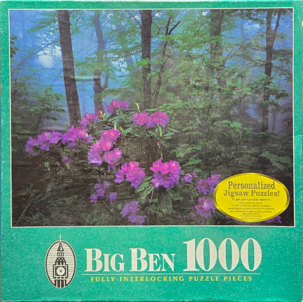 A lush forest scene featuring vibrant purple rhododendron blossoms against a backdrop of misty trees.