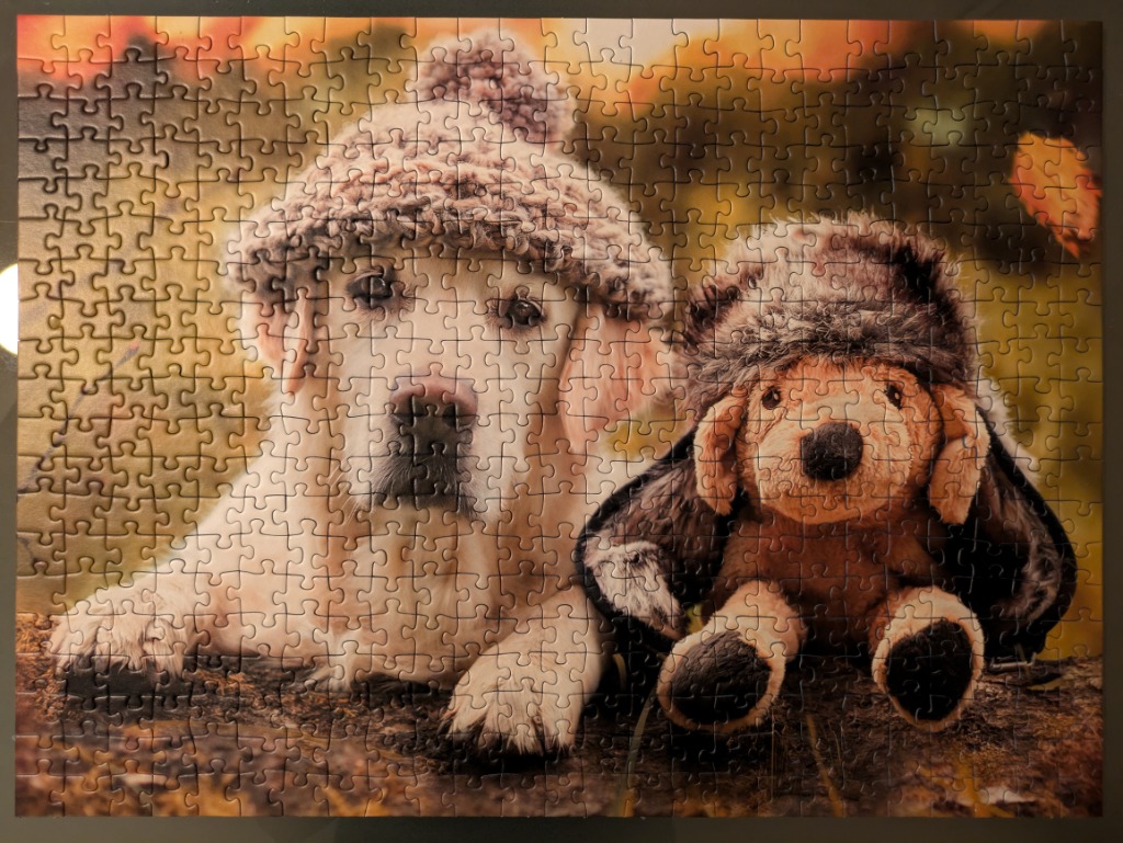 A golden retriever and a stuffed dog toy wearing winter hats sitting together in an autumnal setting.