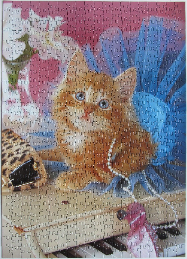A fluffy orange kitten wearing a blue tutu sitting on a piano with a pearl necklace.