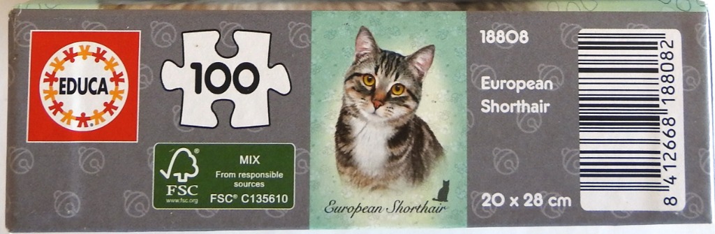 European Shorthair