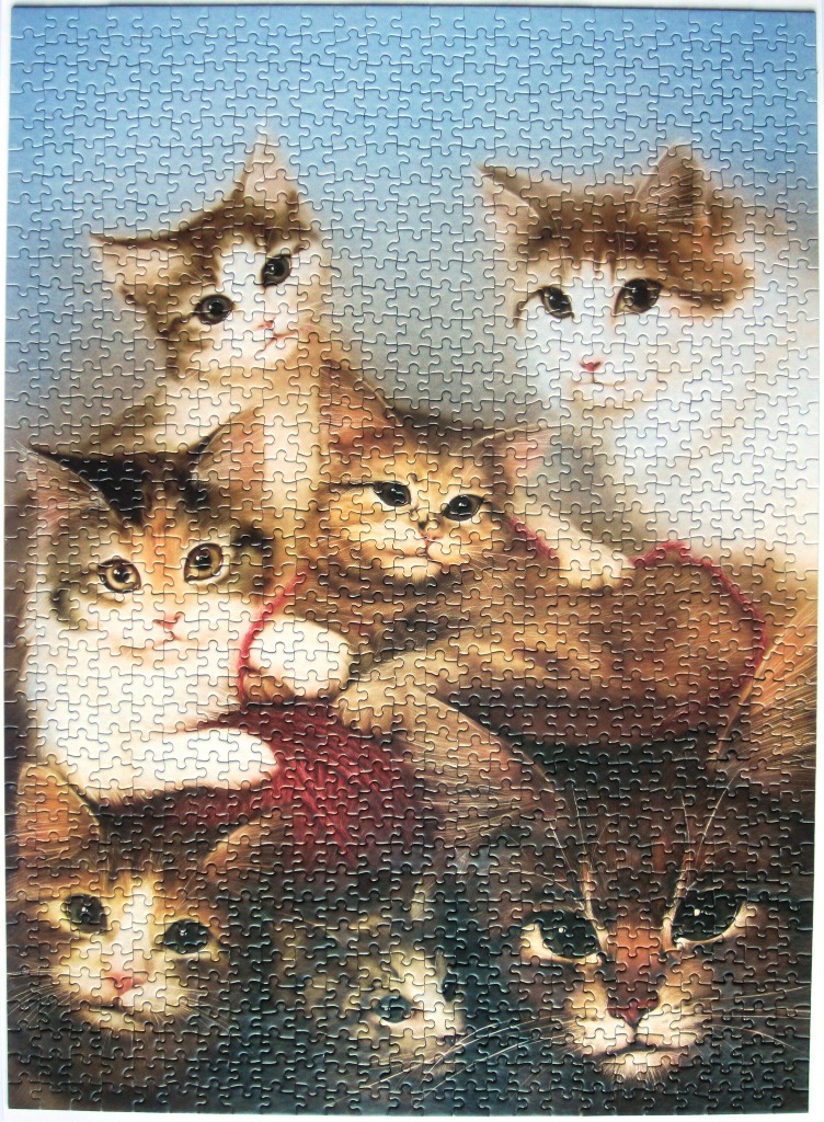 A group of six adorable kittens huddled together, painted in a soft, realistic style against a light blue background.