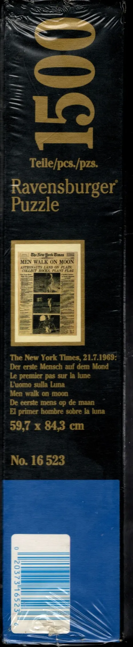 Men Walk on Moon