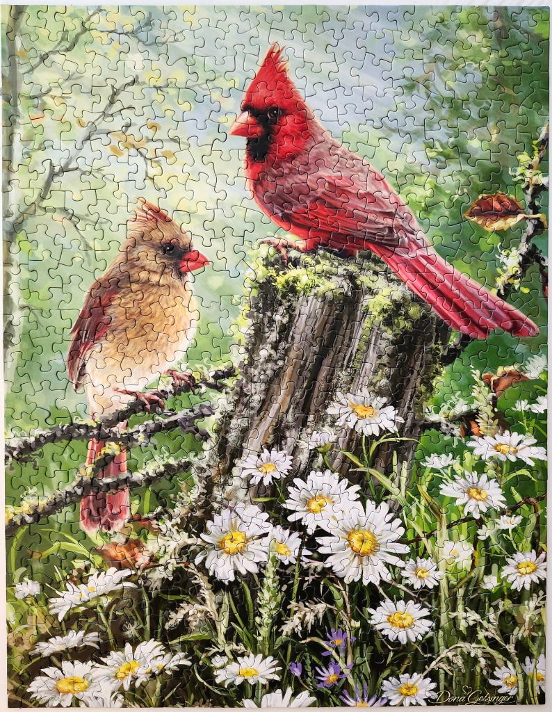A male and female cardinal perched on a mossy tree stump in a field of daisies.