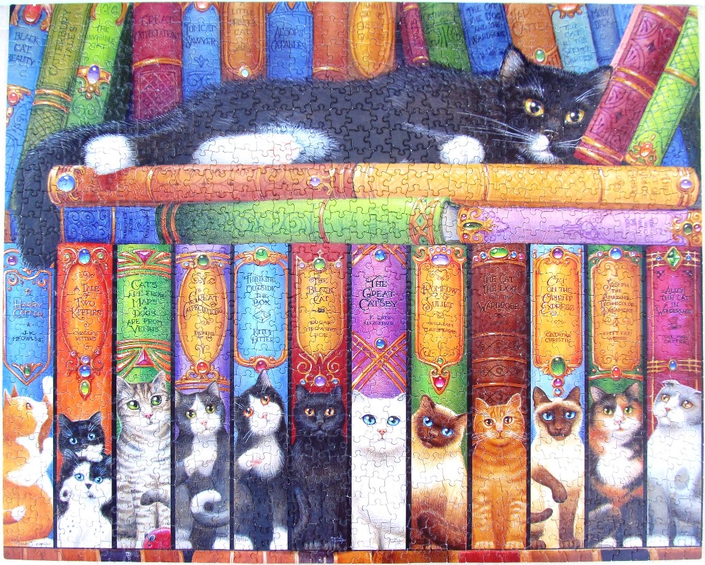 A fluffy black cat resting on a bookshelf filled with books featuring cat-themed parodies of classic literature.