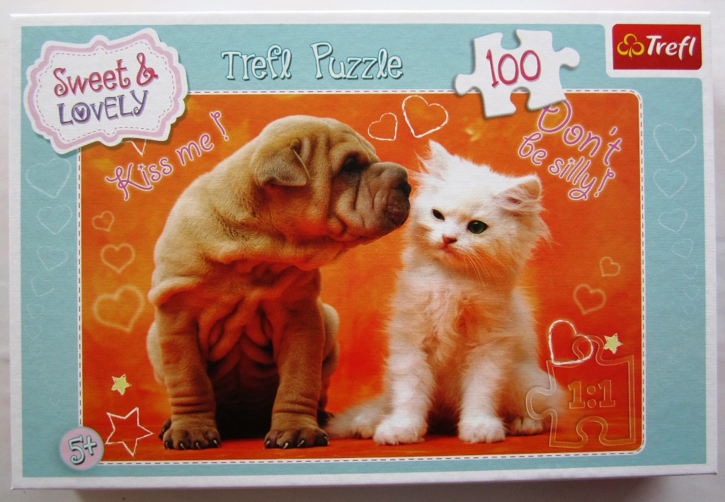 A puppy and a kitten sitting side-by-side against an orange heart-themed background.