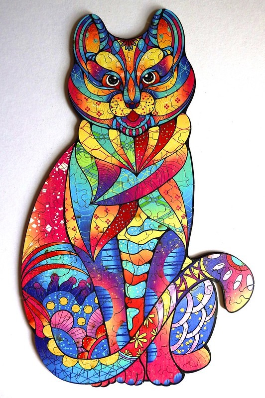 An illustration of a cat filled with colourful, vibrant, psychedelic patterns against a plain white background.