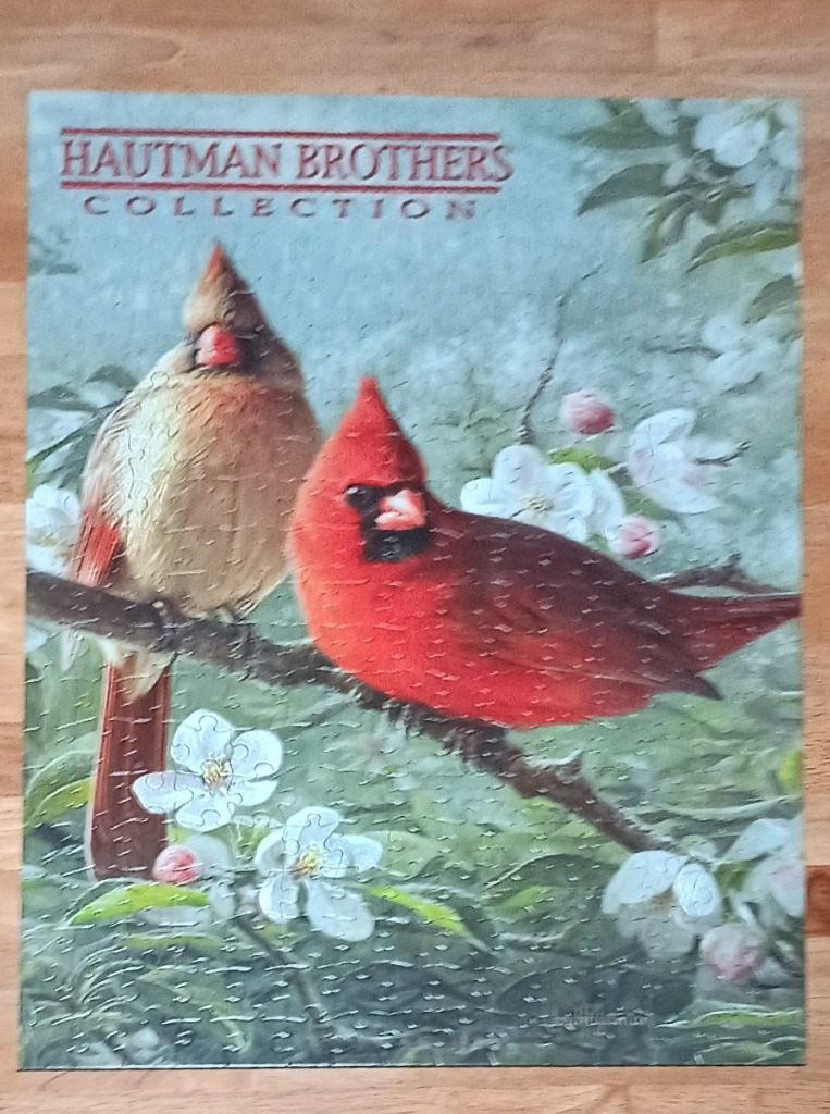 A pair of northern cardinals, one vibrant red and one muted brown, perched on a branch surrounded by white blossoms.