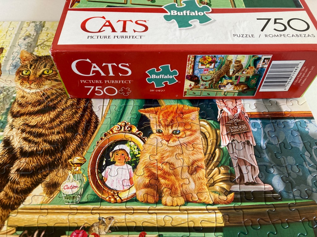Picture Purrfect