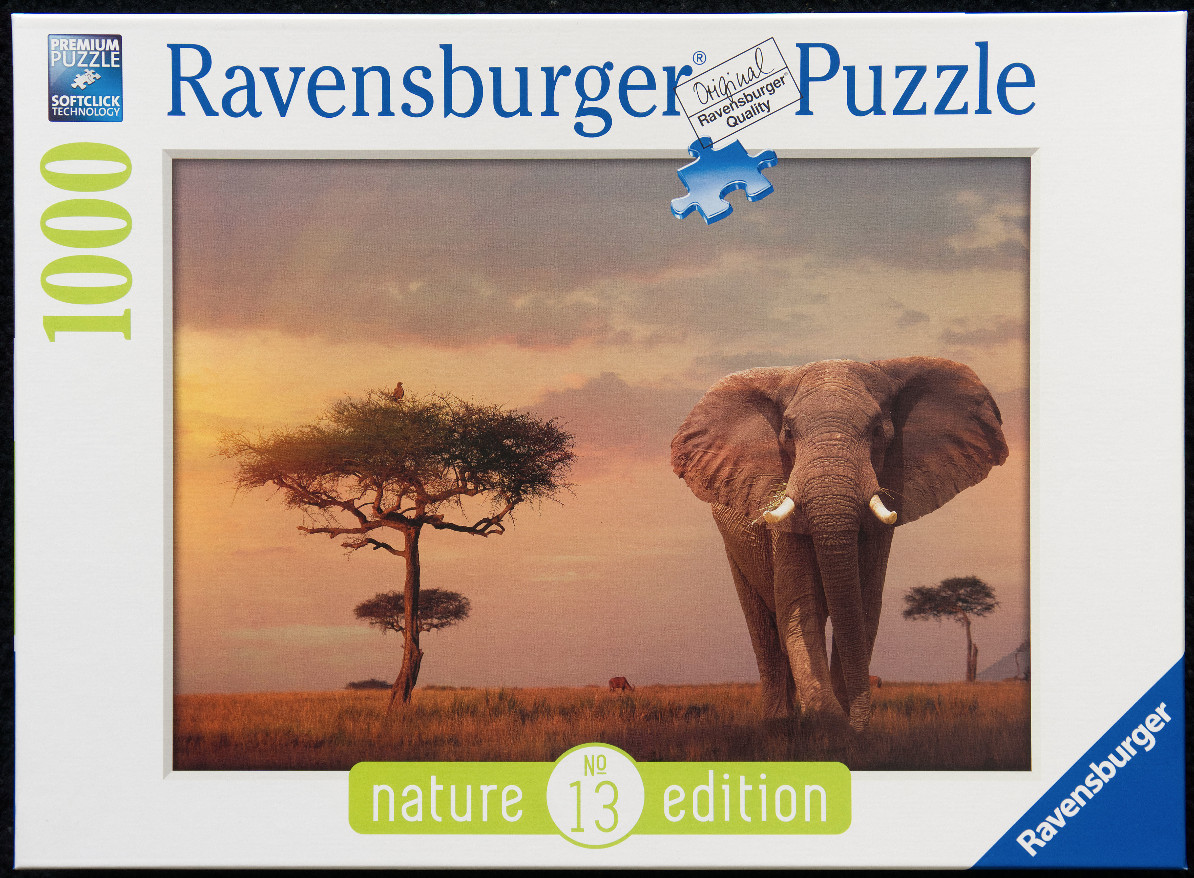 An African elephant walks through an open savanna at sunset near an acacia tree.