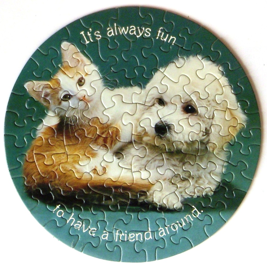 A round image showing a fluffy white dog and a ginger and white kitten cuddling against a dark green background.