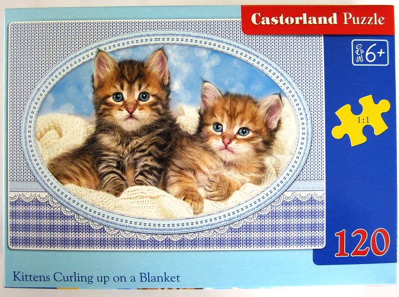 Two fluffy tabby kittens resting together on a soft, cream-coloured blanket inside an oval frame.