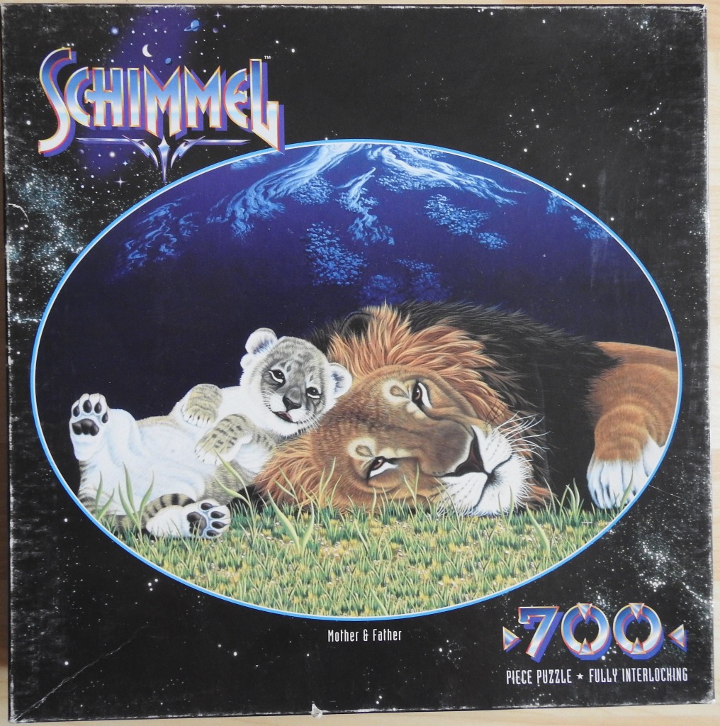 A male lion and a white lion cub resting together in tall grass under a cosmic, starry night sky.