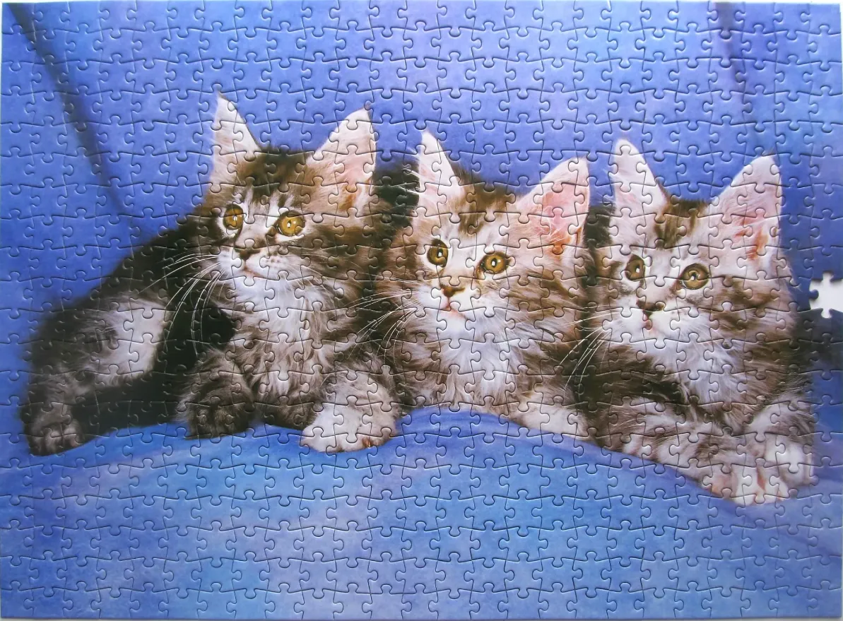 Three fluffy kittens with tabby markings resting on a blue surface.