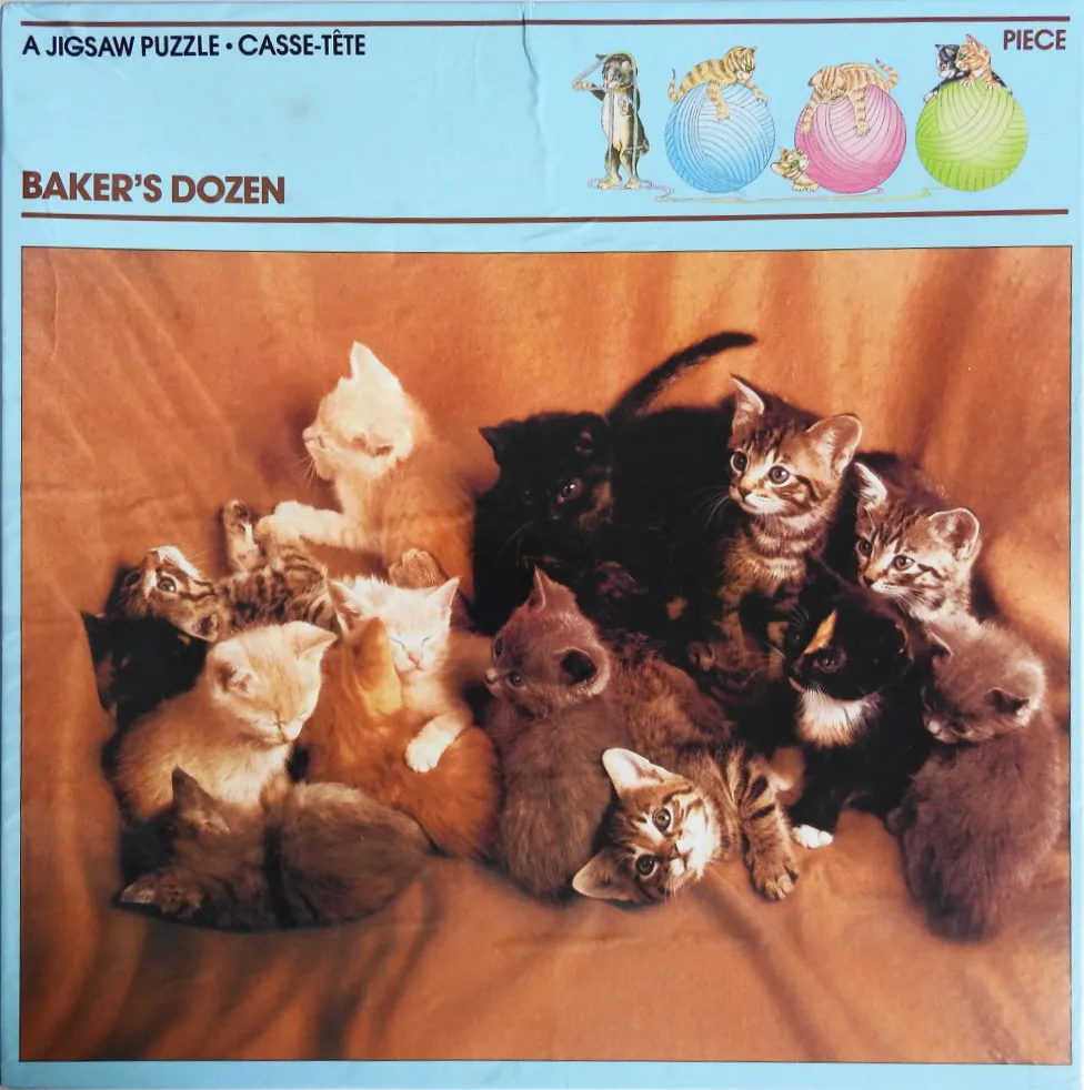 A group of thirteen fluffy kittens huddled together on a warm, tan fabric surface.