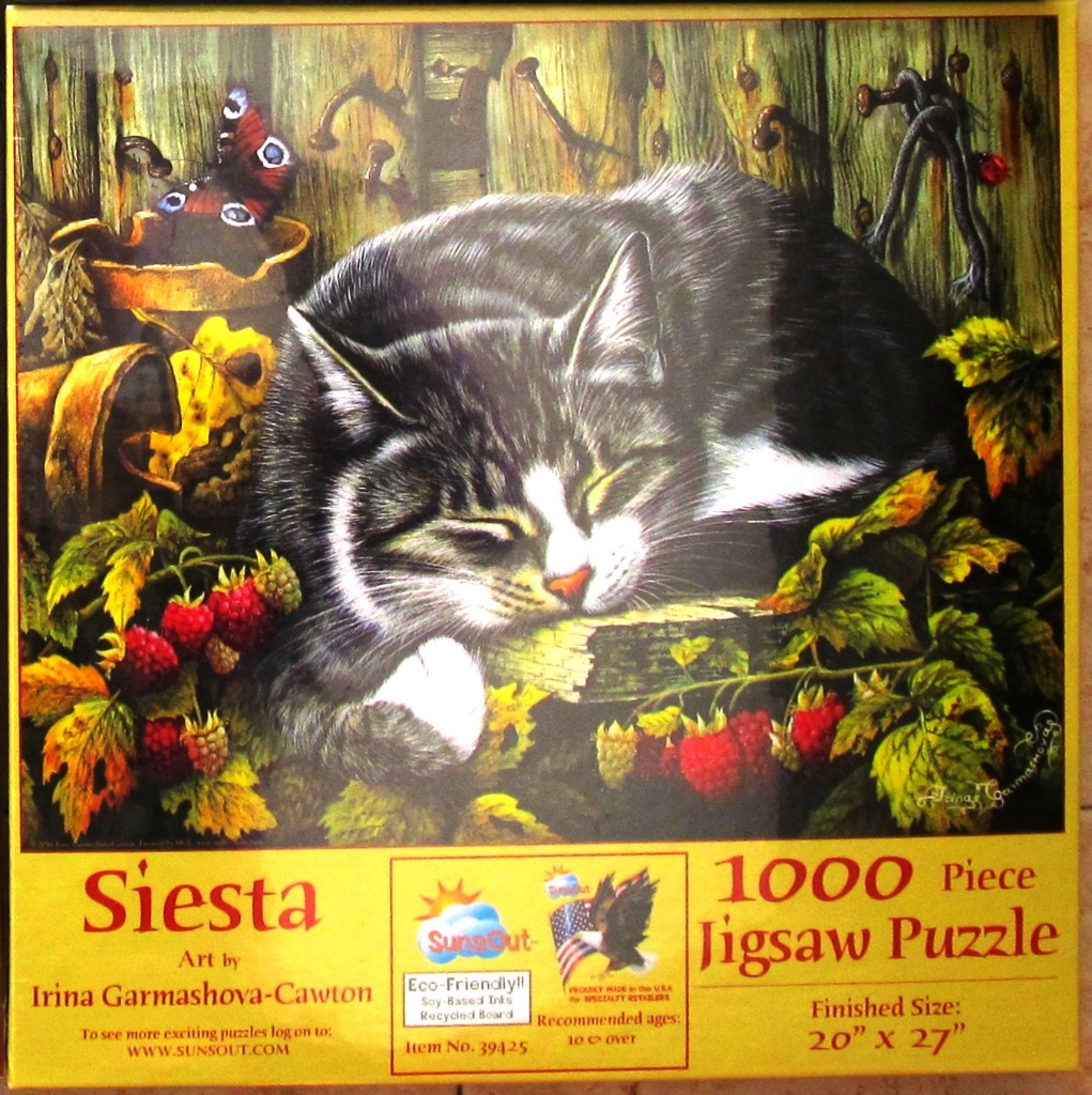 A black and white cat sleeping peacefully amidst raspberries and a rustic wooden fence in a charming illustration.