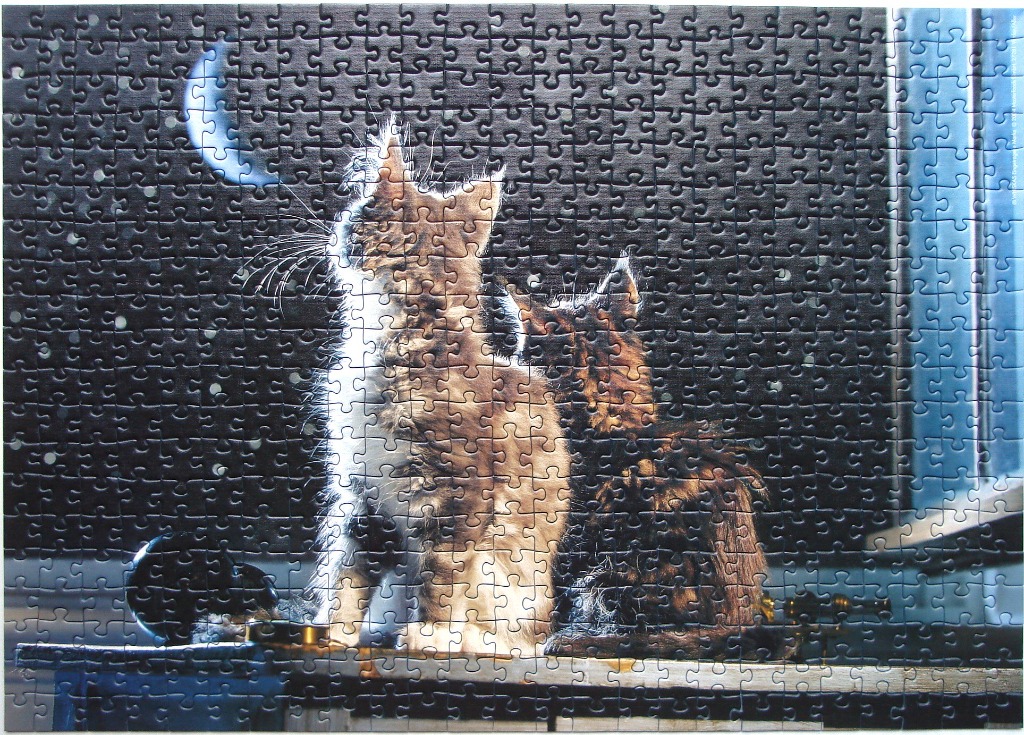 Two kittens sitting on a ledge looking out a window at a starry night sky with a crescent moon.