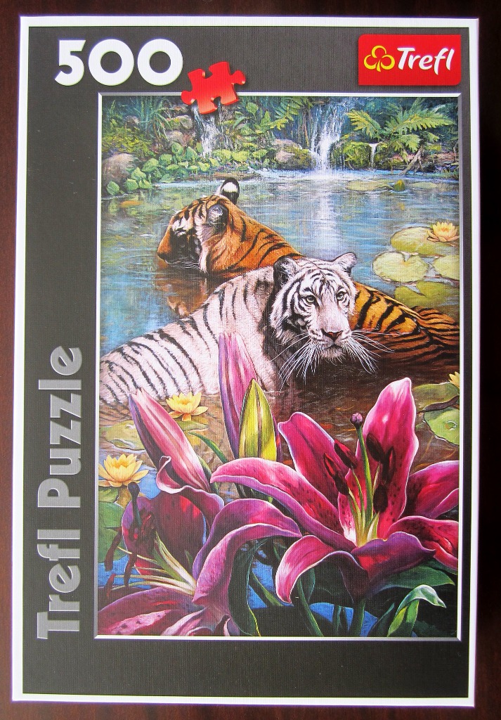 A Bengal tiger and a white tiger swimming in a jungle pond near vibrant pink lilies.
