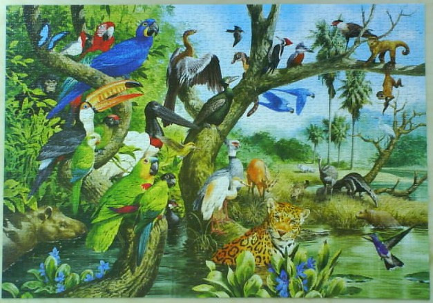 Vibrant rainforest scene featuring various exotic birds, monkeys, a jaguar, and other wildlife in a lush jungle landscape.