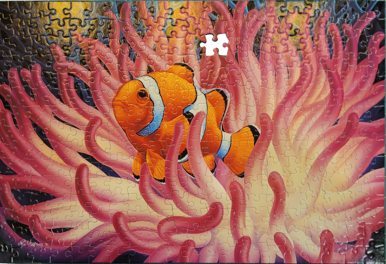 A vibrant orange clownfish swimming amongst the tentacles of a pink sea anemone.