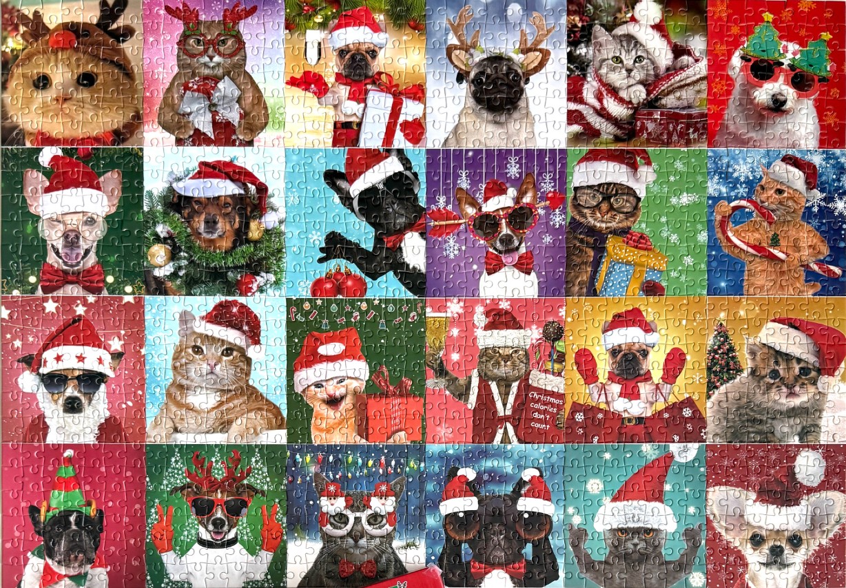 A collage of 24 festive pets including cats and dogs dressed in Christmas-themed hats and accessories.