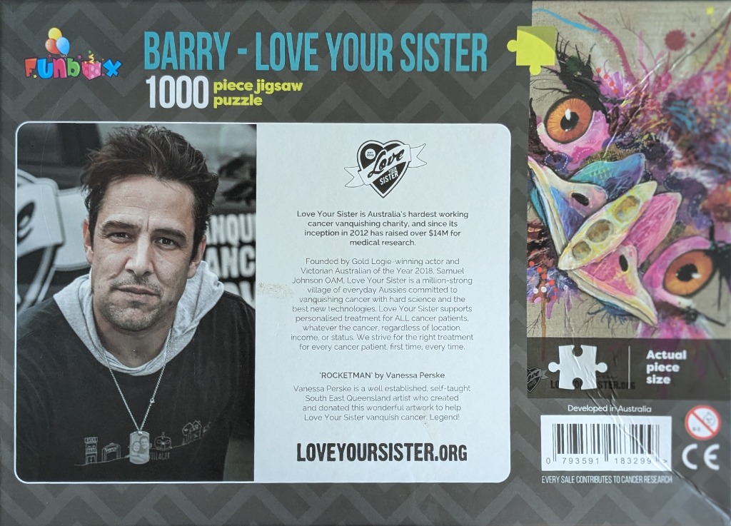 Barry - Love your sister: Rocketman