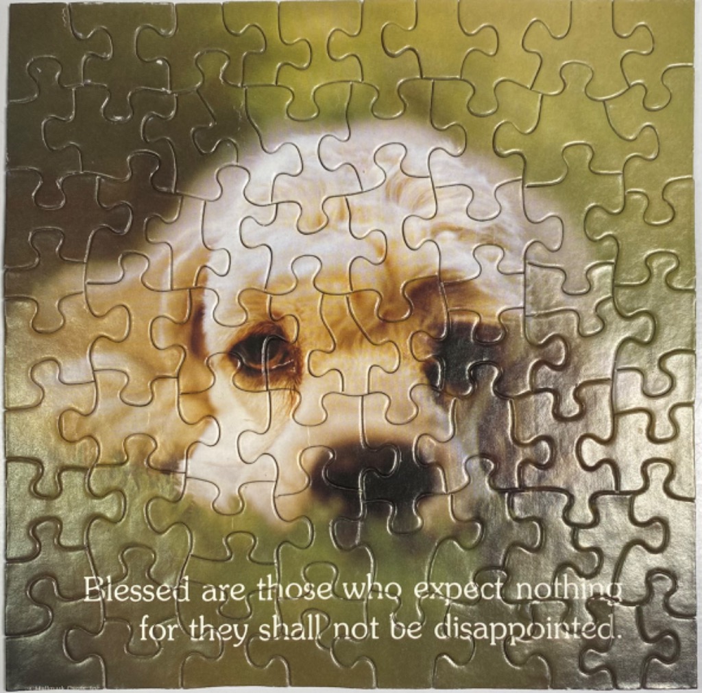 A close-up photograph of a fluffy light-colored dog with the text 