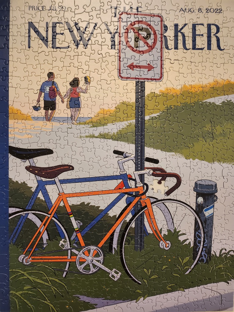 Illustration of two parked bicycles near a beach path with a couple walking in the distance.