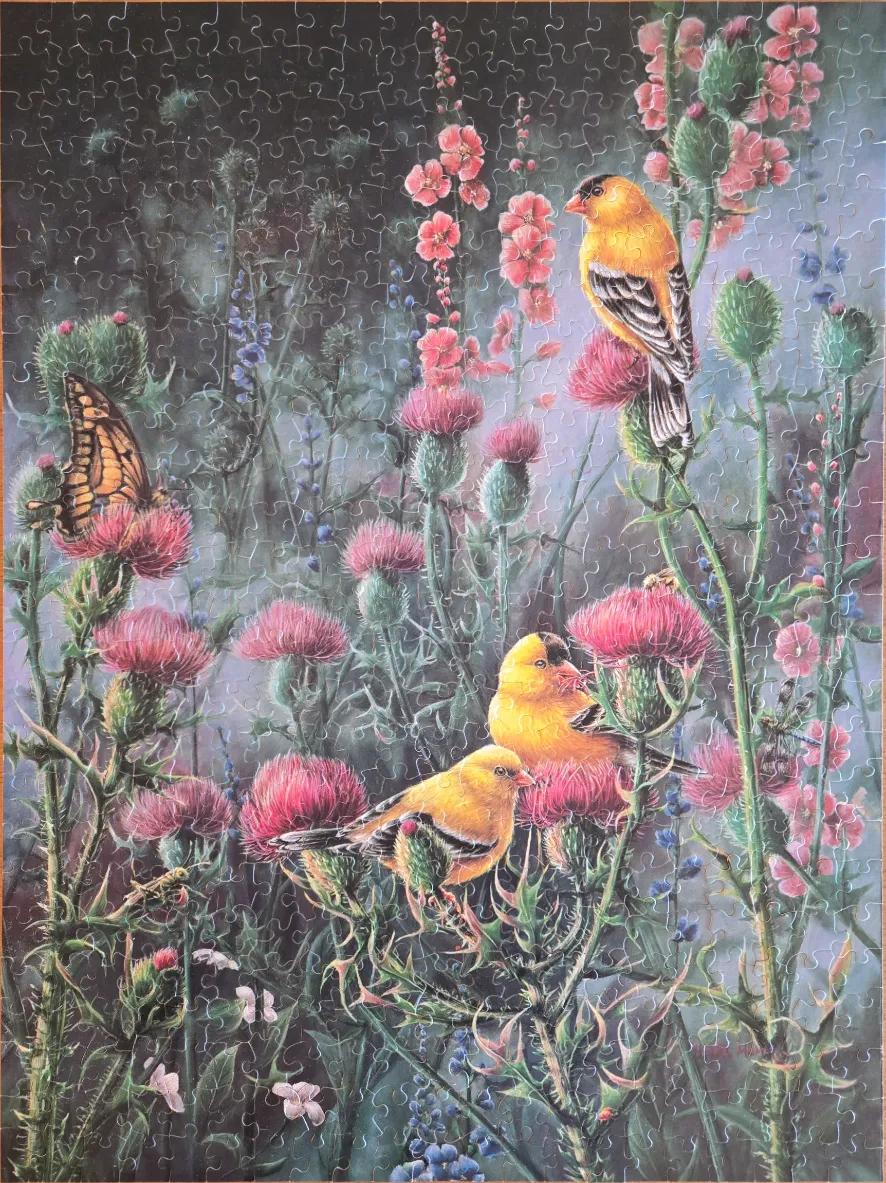 Three goldfinches perched on flowering thistle plants with a swallowtail butterfly nearby.