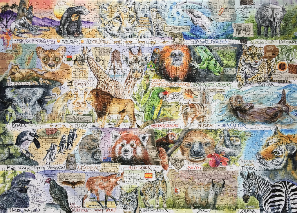 An illustrated wildlife chart featuring various animals, each labeled with their name and fun facts.