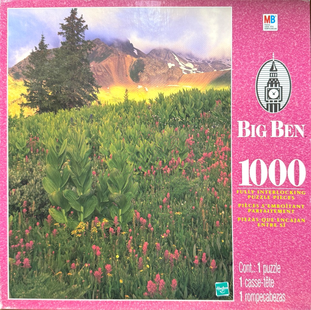 A lush alpine meadow filled with wildflowers and greenery, set against a backdrop of towering, snow-dusted mountains.
