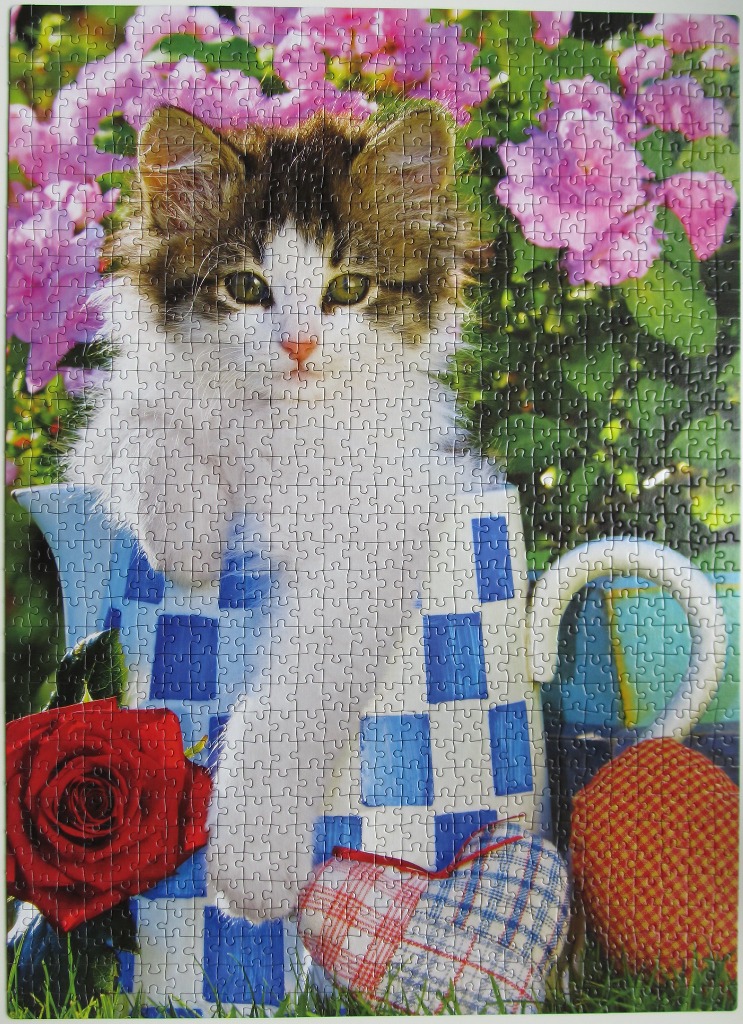 A fluffy brown and white kitten sitting inside a blue and white checkered pitcher surrounded by flowers.