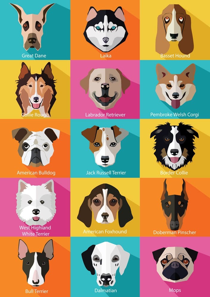 A grid of 15 stylized dog breed illustrations, each centered in a vibrant, solid-colored square.