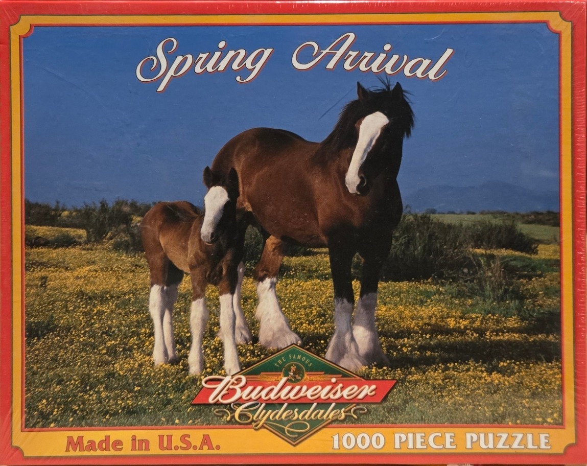 A Clydesdale mare and her foal standing in a meadow of yellow spring flowers.