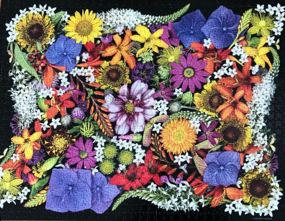A dense, vibrant collection of diverse garden flowers set against a solid black background.
