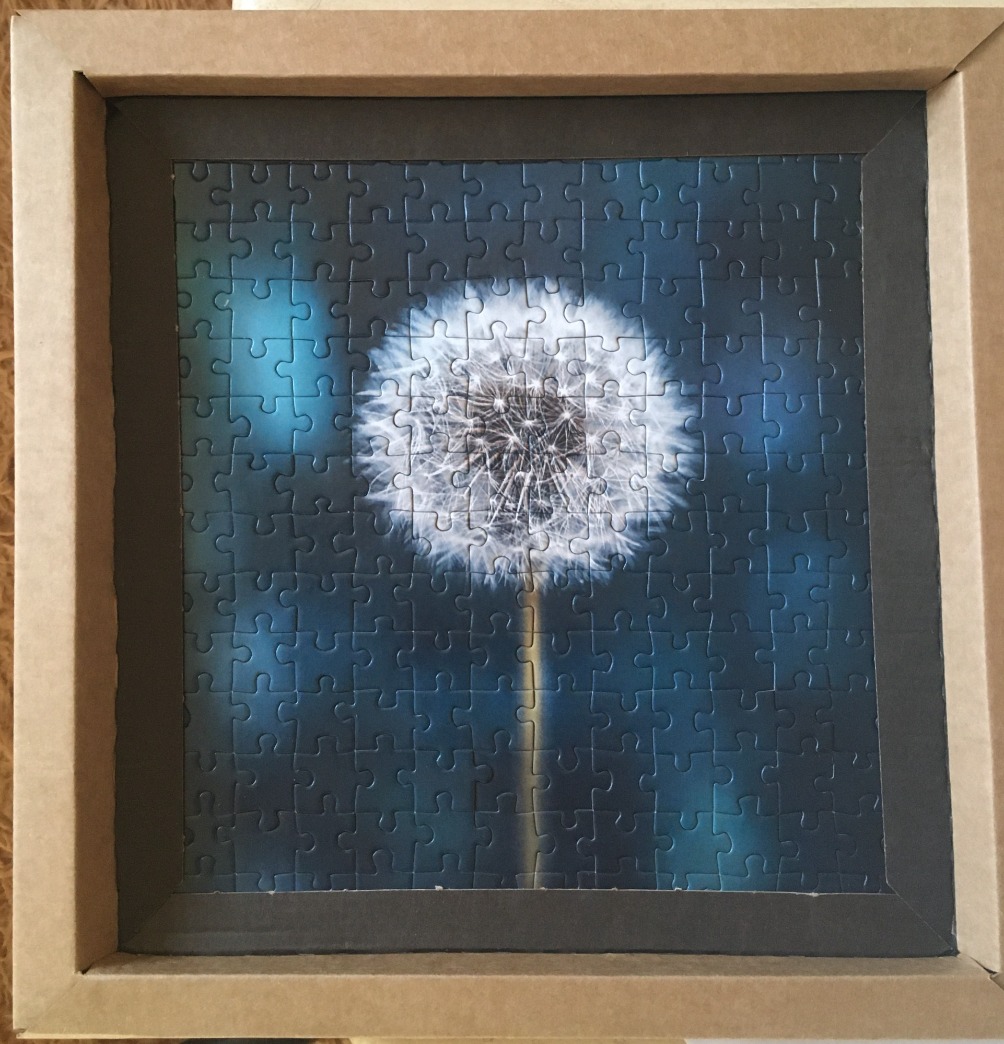 A close-up photograph of a single dandelion seed head against a dark, moody blue background.