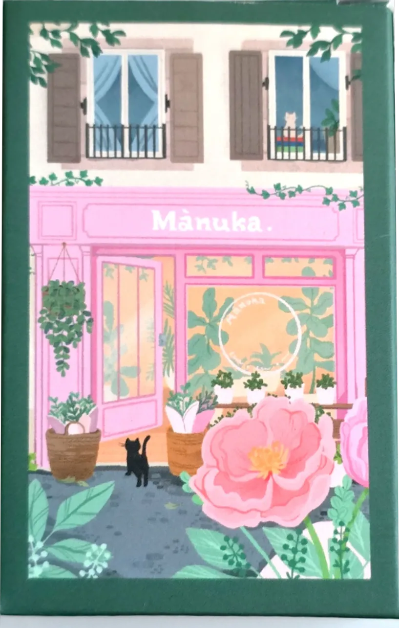 An illustration of a charming pink flower shop with a black cat standing at the open door.