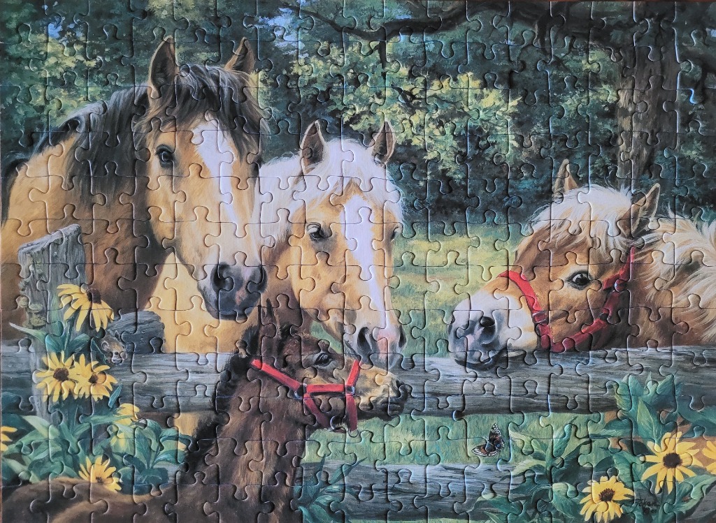 Three horses and a foal gathered behind a wooden fence with sunflowers.