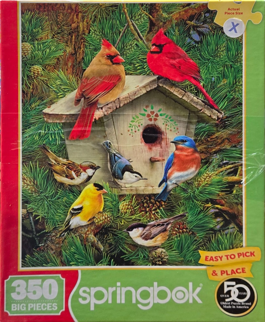Six colorful songbirds gathered around a rustic wooden birdhouse nestled in a dense pine forest.