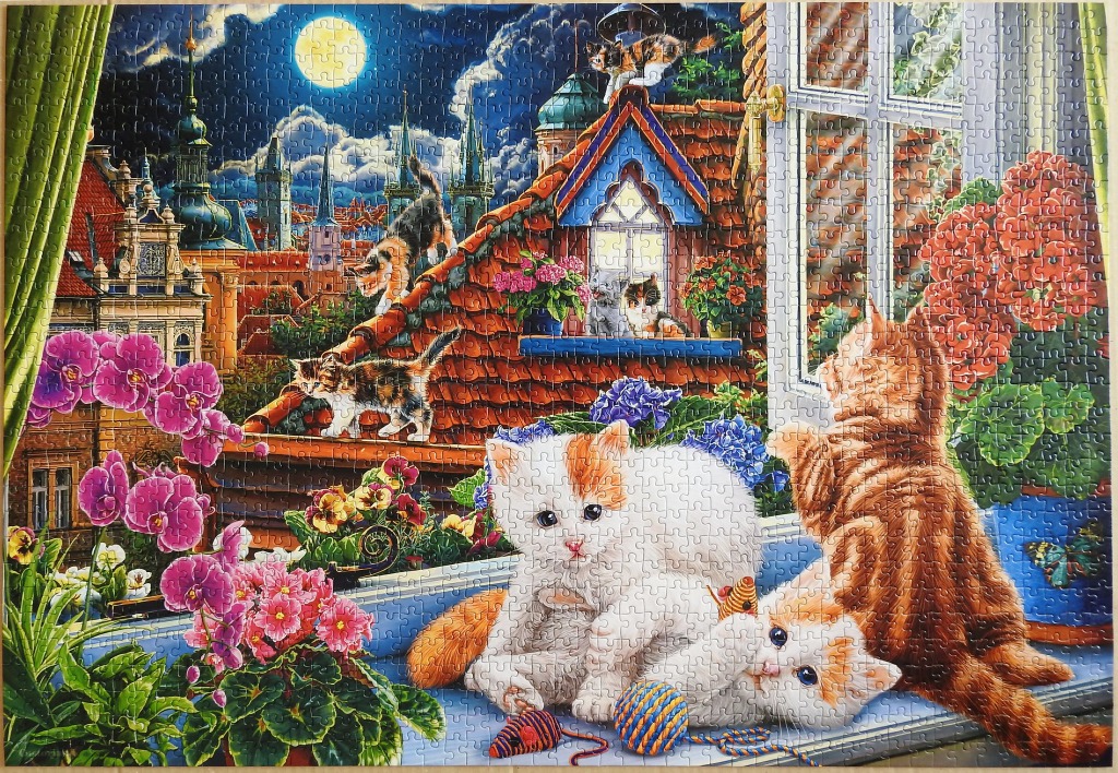 A whimsical illustration of several kittens playing on a windowsill overlooking a moonlit European city rooftop.