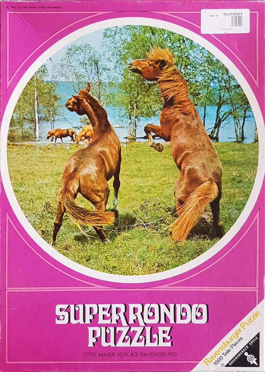 Two chestnut horses rearing and playing in a sunny meadow by a lake.