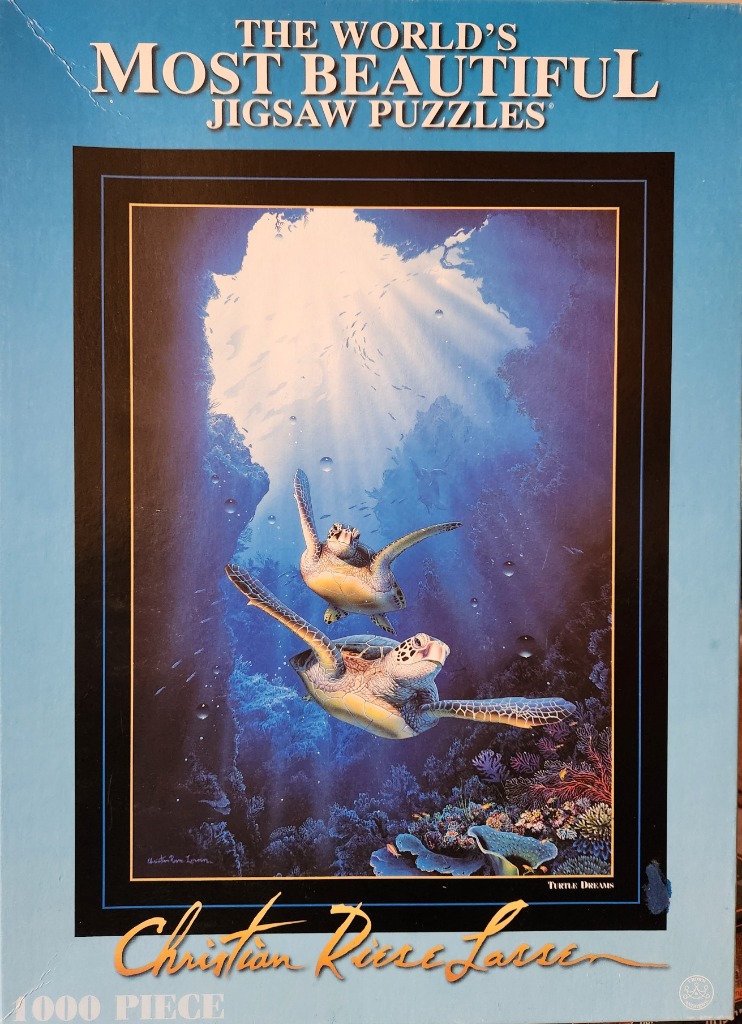 Two sea turtles swimming upward toward a light-filled surface in an underwater reef scene.
