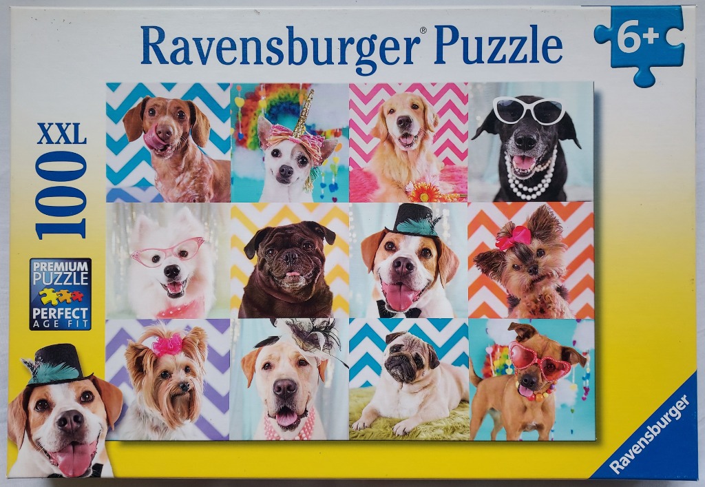 A collage of 12 portrait-style photographs of dogs dressed in festive costumes, accessories, and bright colorful backgrounds.