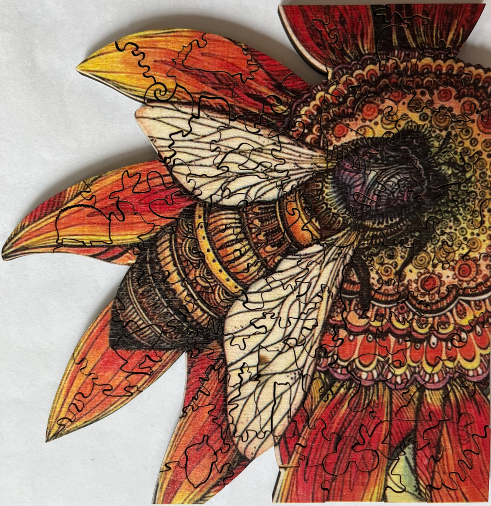 A close-up illustration of a bee perched on a vibrant, orange-red sunflower with ornate, mandala-like patterns.