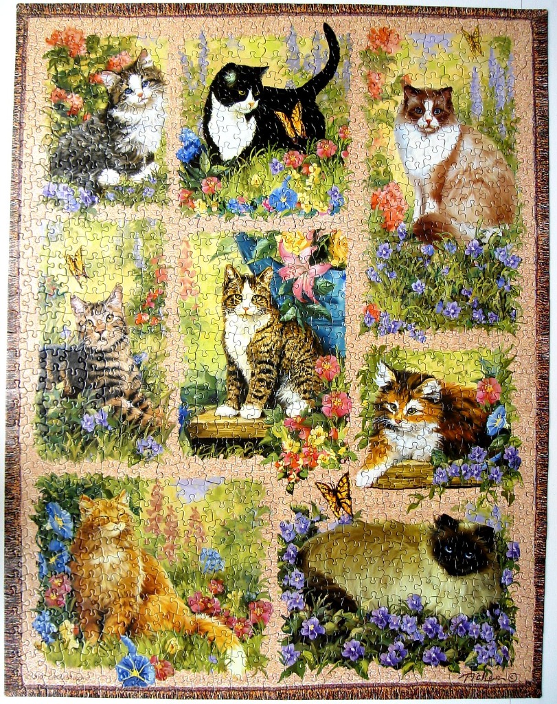 An illustration featuring eight different cat portraits arranged in a grid surrounded by garden flowers and butterflies.